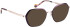 Bellinger ELLIPSE-3 glasses in Purple/Rose Gold