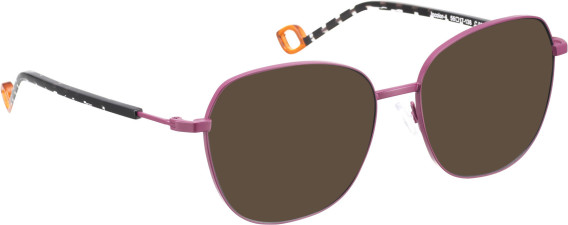 Bellinger INCOLOR-4 glasses in Purple/Black