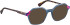 Bellinger LESS-ACE-2585 glasses in Blue/Brown