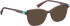 Bellinger LESS-ACE-2586 glasses in Brown/Brown