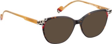 Bellinger LESS-ACE-2611 glasses in Brown/Brown