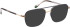Bellinger LESS-TITANIUM-5 glasses in Grey/Gold