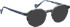 Bellinger SKYRAIDER glasses in Grey/Blue