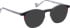 Bellinger TITAN glasses in Black/Clear Grey