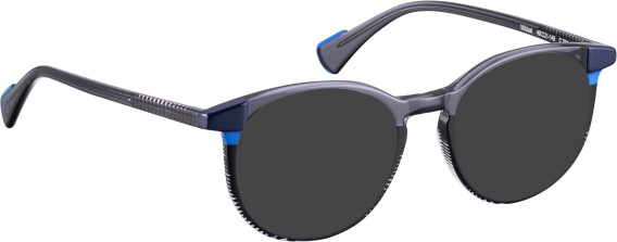 Bellinger WILDCAT glasses in Grey/Blue