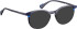 Bellinger WILDCAT glasses in Grey/Blue