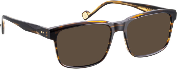 Entourage Of 7 ARNOLD glasses in Brown/Brown