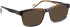 Entourage Of 7 ARNOLD glasses in Brown/Brown