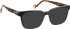 Entourage Of 7 ARTURO glasses in Black/Brown