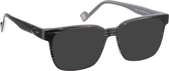 Entourage Of 7 ARTURO glasses in Grey/Clear Grey
