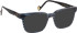 Entourage Of 7 ARTURO glasses in Blue