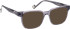 Entourage Of 7 ARTURO glasses in Transparent Grey