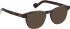Entourage Of 7 BAXTER-S glasses in Brown/Brown