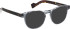 Entourage Of 7 BAXTER-S glasses in Grey Blue
