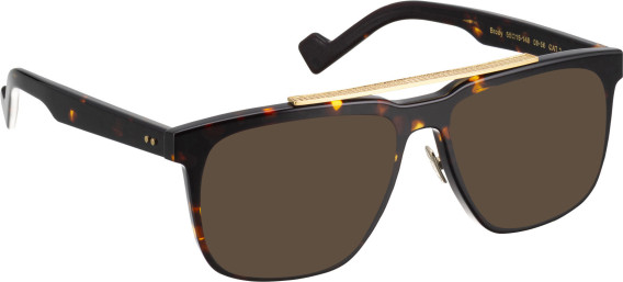 Entourage Of 7 BRODY glasses in Brown