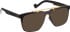 Entourage Of 7 BRODY glasses in Brown