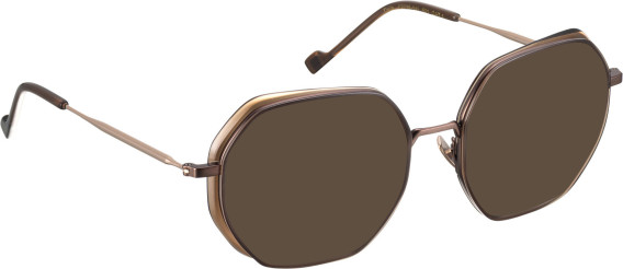 Entourage Of 7 DERIA glasses in Brown/Brown