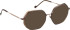 Entourage Of 7 DERIA glasses in Brown/Brown