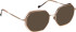 Entourage Of 7 DERIA glasses in Brown