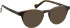 Entourage Of 7 FIELD glasses in Green