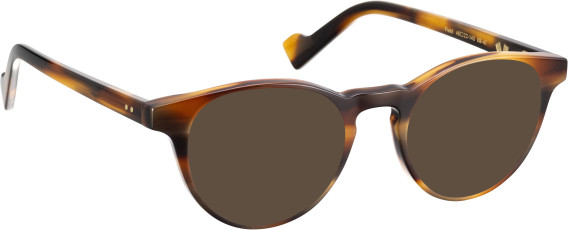 Entourage Of 7 FIELD glasses in Tortoise