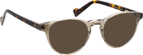 Entourage Of 7 FIELD glasses in Clear Brown