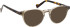 Entourage Of 7 FIELD glasses in Clear Brown