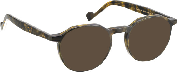 Entourage Of 7 HADLEY-SK glasses in Green/Green