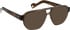Entourage Of 7 PALM-VIPER-4 glasses in Brown/Brown