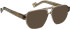 Entourage Of 7 PALM-VIPER-4 glasses in Transparent Brown