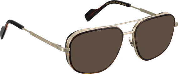 Entourage Of 7 REN glasses in Tortoise/Gold