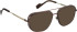 Entourage Of 7 REN glasses in Brown/Brown