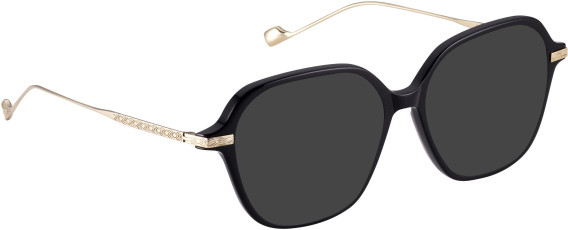 Entourage Of 7 SAFFRON glasses in Black/Gold