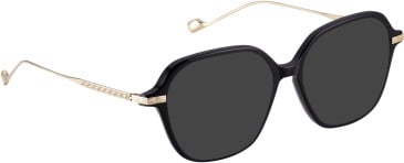 Entourage Of 7 SAFFRON glasses in Black/Gold