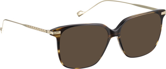Entourage Of 7 SIENNA glasses in Brown/Gold
