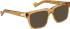 Entourage Of 7 TITUS glasses in Clear Brown
