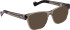 Entourage Of 7 TRAVIS glasses in Transparent Green