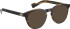 Entourage Of 7 TUCKER glasses in Brown