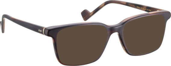 Entourage Of 7 WILBUR glasses in Brown