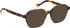 Entourage Of 7 WREN glasses in Tortoise