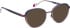 Bellinger ACEELLIPSE-1 glasses in Purple/Brown