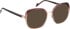 Bellinger ACEELLIPSE-2 glasses in Brown/Rose Gold