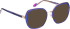 Bellinger ACEELLIPSE-2 glasses in Purple/Rose Gold