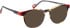 Bellinger ANGLE-3 glasses in Brown/Black