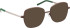 Bellinger BOLDLINE-3 glasses in Brown/Silver