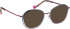 Bellinger CICULA-4 glasses in Blue/Purple
