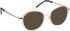Bellinger CICULA-4 glasses in Crystal/Rose Gold