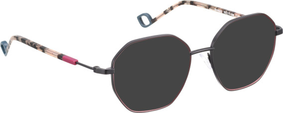 Bellinger INCOLOR-3 glasses in Purple/Black
