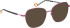 Bellinger INCOLOR-4 glasses in Purple/Black