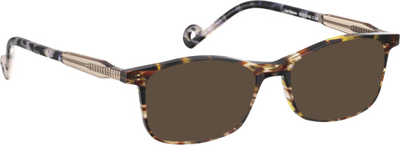 Bellinger JUST-SERENE glasses in Brown/Clear Brown